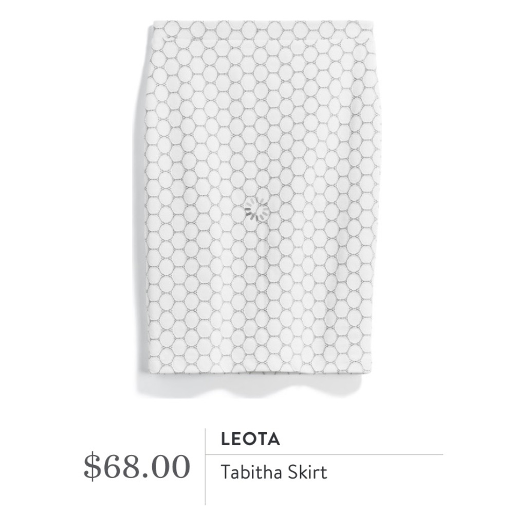 NWT skirt from Stitch Fix
